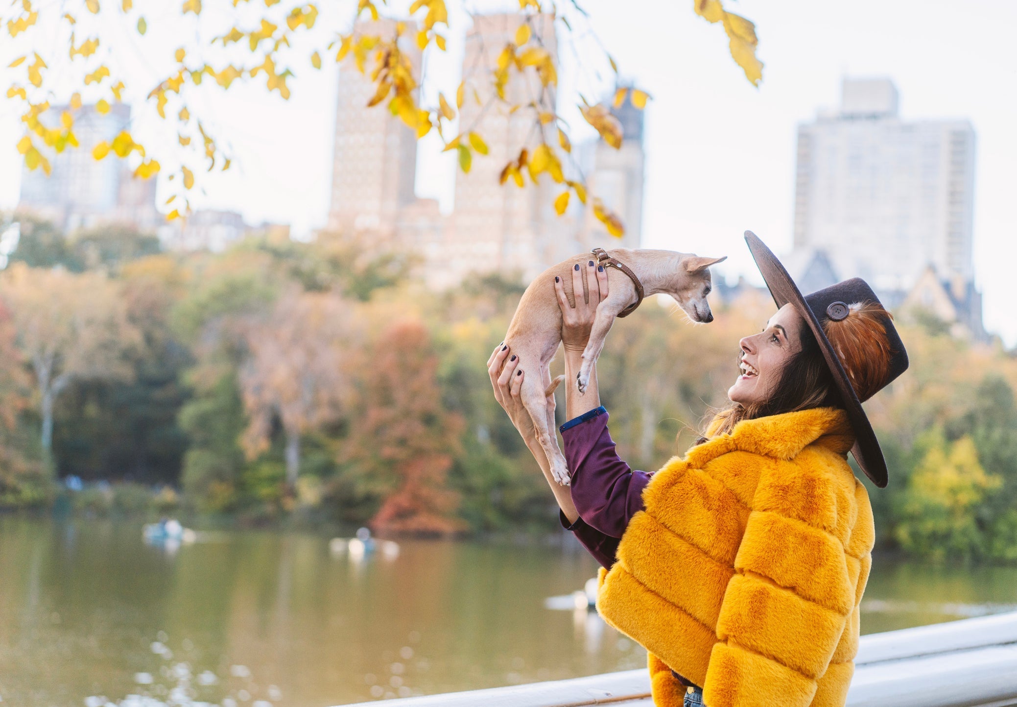 Avoid Upset Stomachs When Switching to Fresh Dog Food