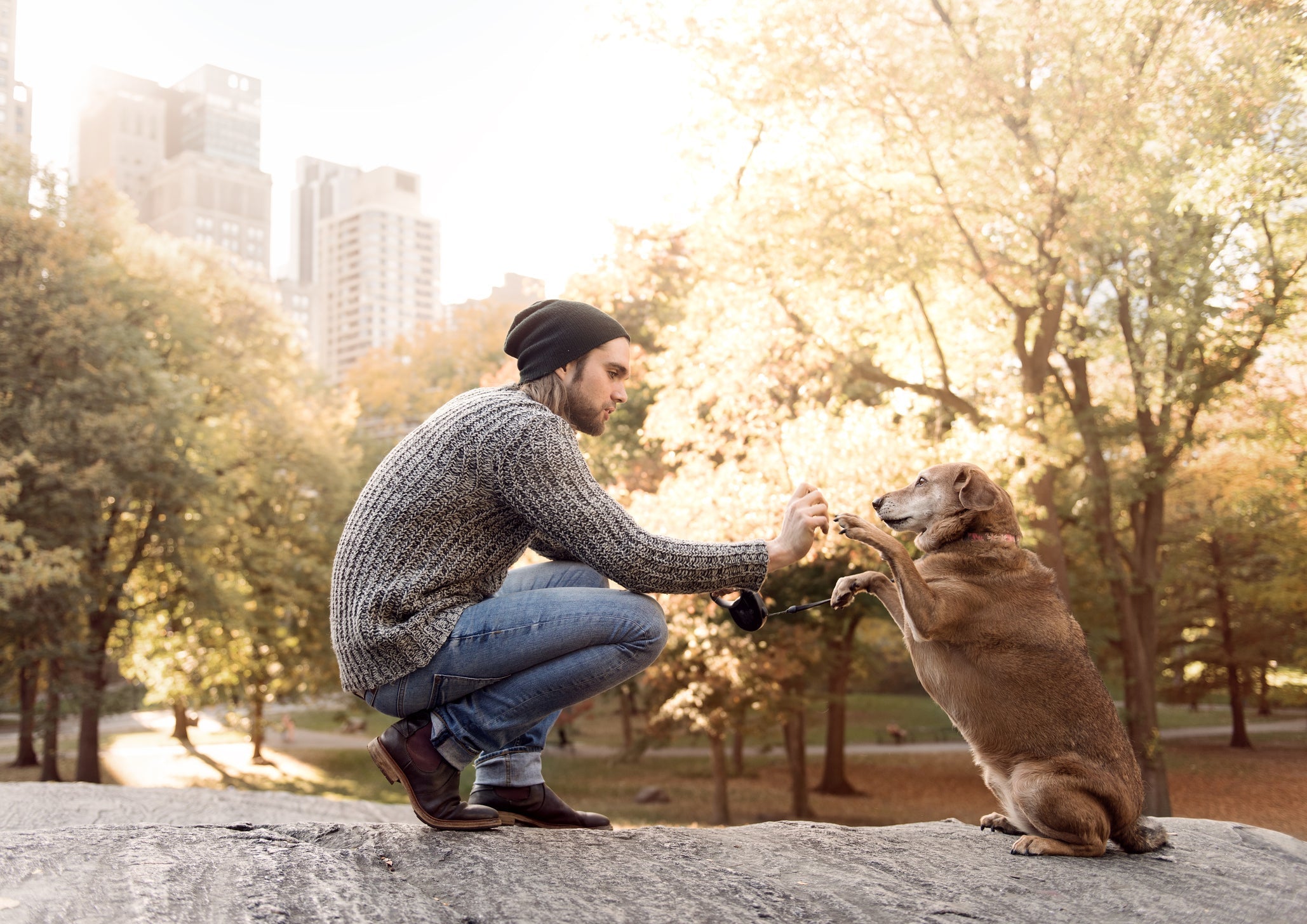 How a Fresh Diet Can Improve Your Dog’s Digestion, Coat, and Energy Levels